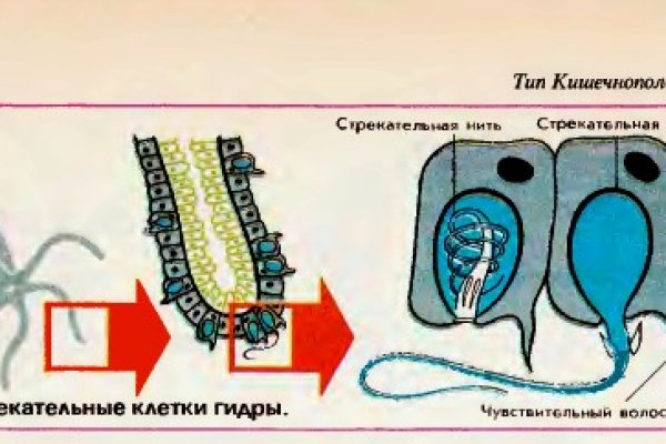 Зеркала кракен kraken014 com kraken014 com