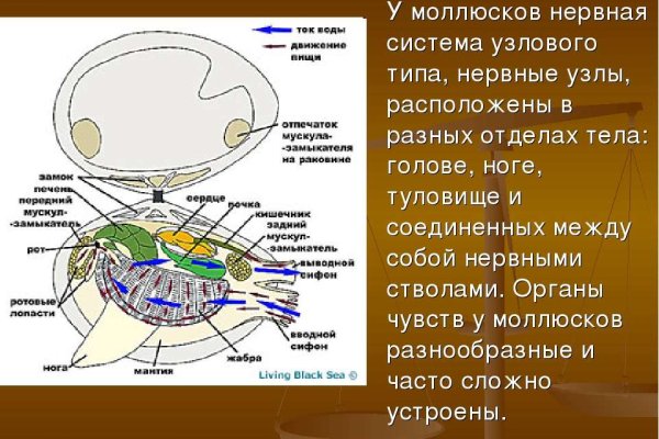 Кракен 2krnk cc